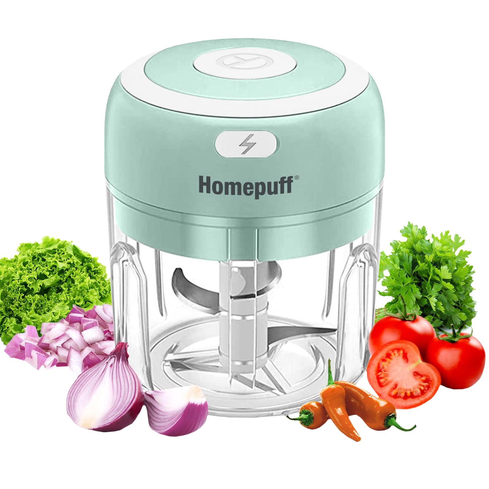 buy-homepuff-h311-30-watt-electric-vegetable-chopper-with-3-blades